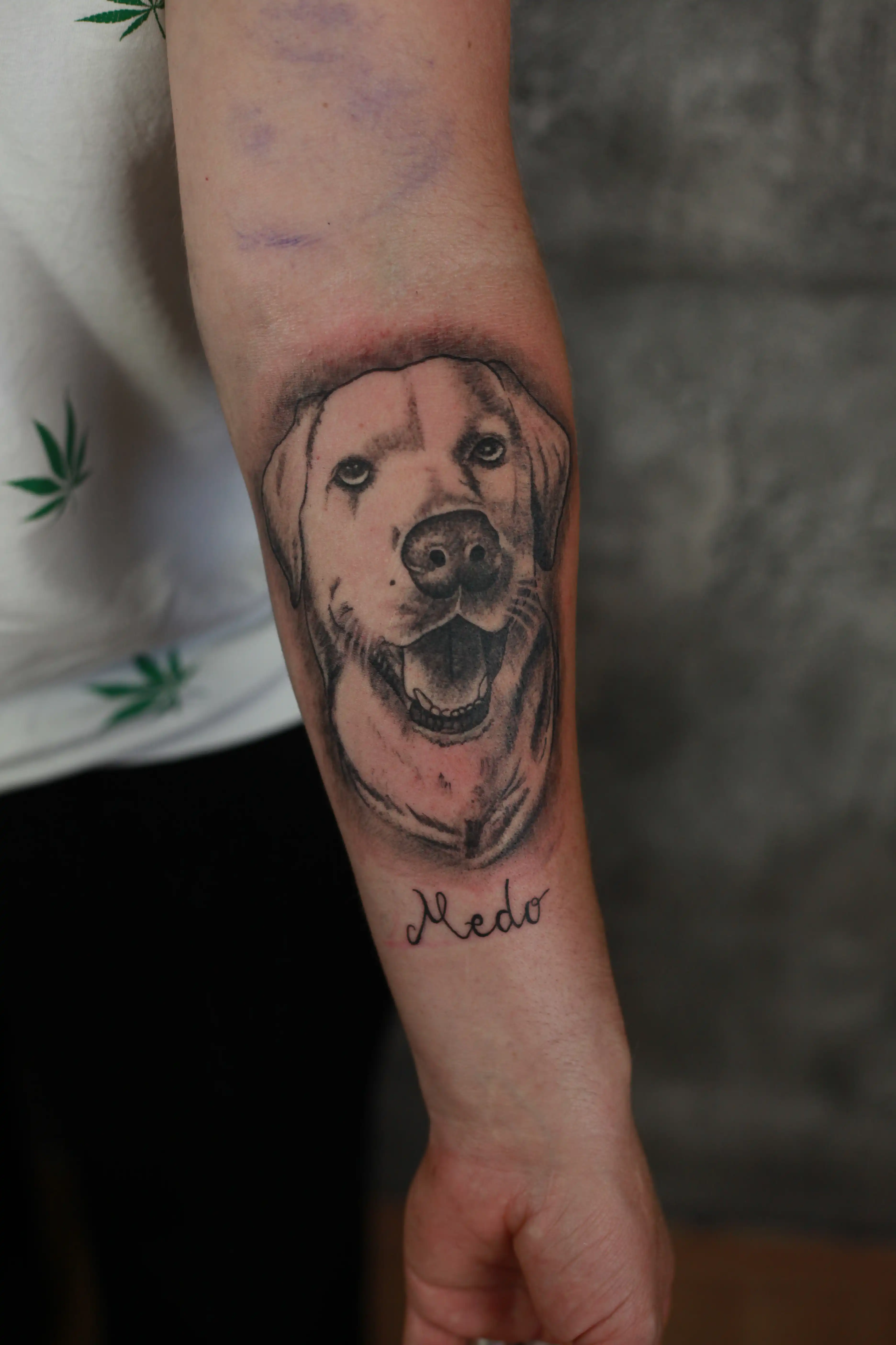 Labrador - Black & Grey tetovaža Eternal Art